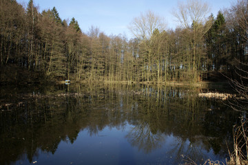 Waldteich in Alverdissen