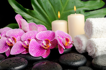 Obraz na płótnie Canvas spa setting of twig stripped violet orchid (phalaenopsis ), zen