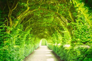Zelfklevend Fotobehang Garden with trees and light © TravelWorld