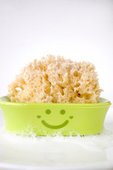 sponge on smiley dish