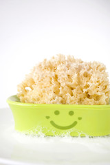sponge with soap suds