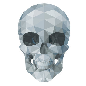 gray  skull by triangles, polygon vector illustration