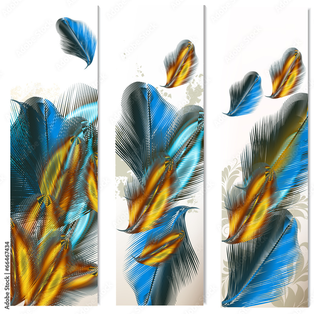 Poster abstract backgrounds with feathers