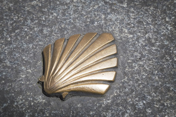 Symbol of the camino de santiago