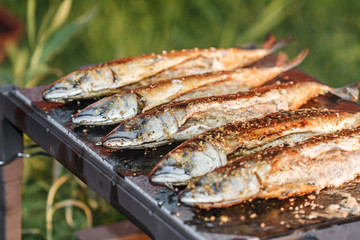 grilled fish