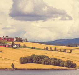 Fototapeta premium Fields