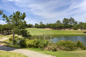 Small lake on the green golf course