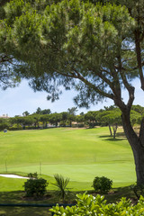 Green golf course in Vilamoura