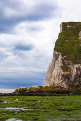 beach and cliffs not far from the port of Dover