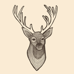 deer head engraving style, vintage illustration, hand drawn