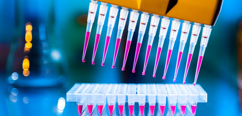 using multi-channel pipette