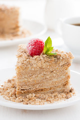 piece of cake with custard and raspberry on a plate, vertical