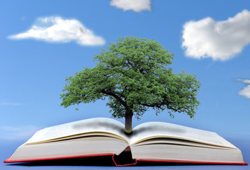 Tree of knowledge