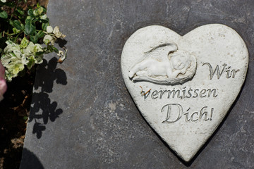 Herz