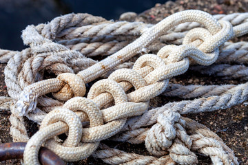 Rope knotted on a shore