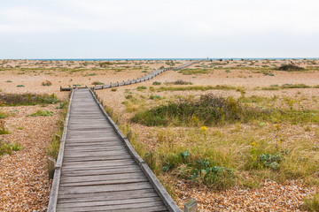 beach with wooden walkway leading to the sea