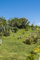 Biodiversità mediterranea