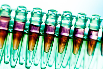 Laboratory research of cancer diseases,  rack with RNA samples