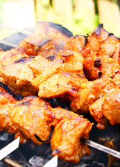 Juicy meat shish kebab