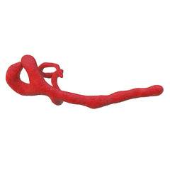 Ebola virus - isoliert - 3d Render