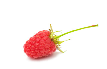 fresh raspberries isolated