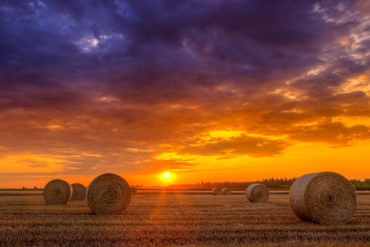 Sunset over farm field with hay bales