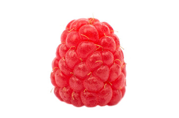 fresh raspberries isolated
