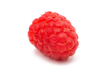 fresh raspberries isolated