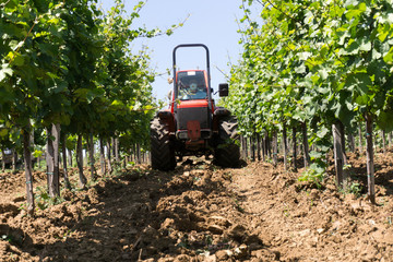 Tractor spraying vineyard