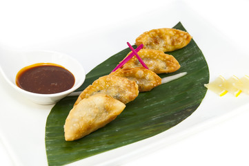 Japanese dumplings with lettuce on white background