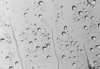 Drops of water on glass