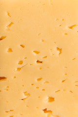 background of fresh cheese. macro