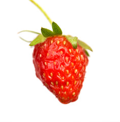strawberry on white background