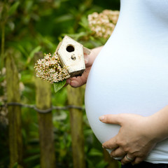 Babybauch