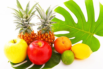 新鮮な果物とモンステラの葉