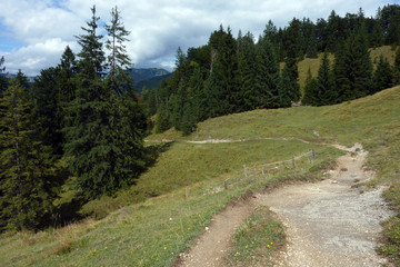 Fototapeta premium Wanderweg zur Königsalm