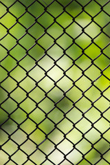 Fototapeta premium iron hain fence with background