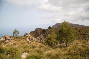 Mallorca Naturpark Levante