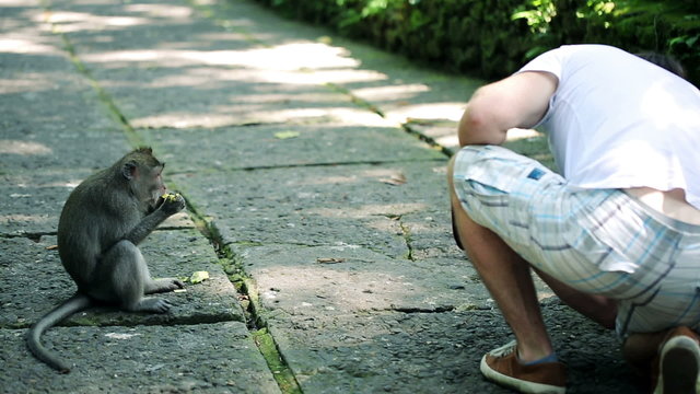 Father and son looking at monkey in Ubud Monkey Forest in Bali