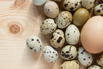chicken egg and quail eggs - top view