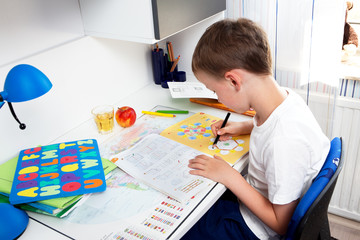 Boy doing homework