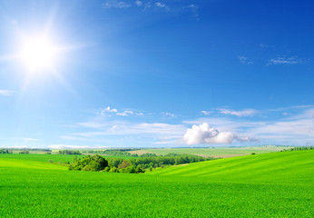 green field and blue sky