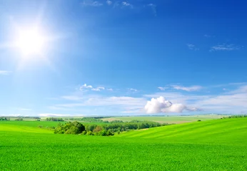 Tuinposter green field and blue sky © Pakhnyushchyy