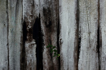 Holzwand Holztextur Hintergrund Holz 