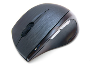 The computer mouse.