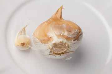 Elephant Garlic clove next to a regular California White garlic clove on a white platter