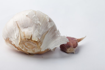 Comparison of Elephant Garlic (Gigantic clove) and Spanish Roja Garlic clove