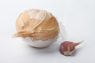 Macro shot of gigantic elephant garlic clove next to a regular clove of Spanish Roja Garlic