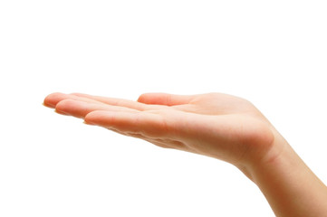 Hand, palm. On a white background.