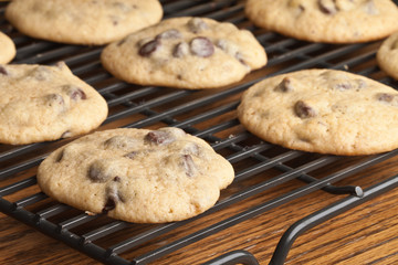 Macro shot of freshly baked chocolate chip cookies on cooling rack